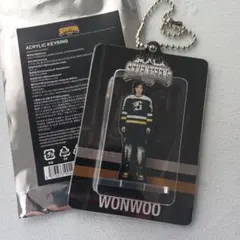 SEVENTEEN セブチ HOME アクリルキーリング ウォヌ