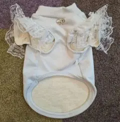 Item thumbnail for item 8b183bc2-9af4-4e19-83fd-33eeb79b1b12