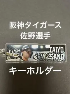 阪神タイガース シークレットビジョンキーホルダー 佐野
