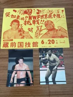 2026年最新】タイガージェット シンの人気アイテム - メルカリ