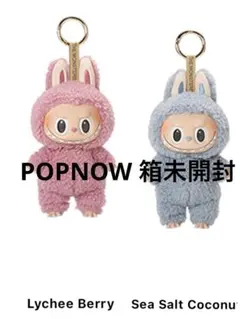 LABUBU Exciting Macaron Lychee Berry