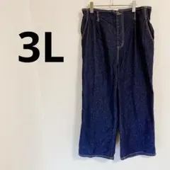 ワイドデニムパンツ　【3L】 綿混　レーヨン混　ウエストゴム　大きいサイズ