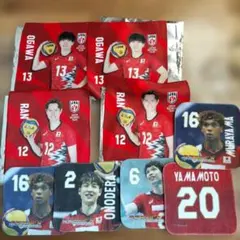 男子バレー　日本代表　ミニタオル