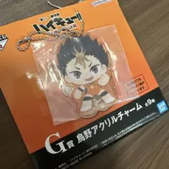 一番くじ 劇場版ハイキュー!! ゴミ捨て場の決戦2 G賞 西谷夕