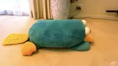 2025年最新】カモノハシペリー クッションの人気アイテム - メルカリ