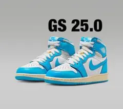 ナイキ エアジョーダン1レトロ HIGH OG GS 25.0㎝