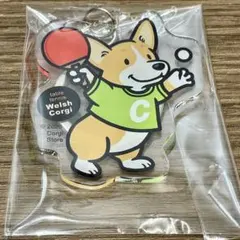 卓球コーギー　アクリルキーホルダー／コーギーストア
