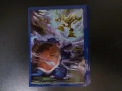 ポケモンカード ジムチャレ スリーブ カメックス＆フーディン