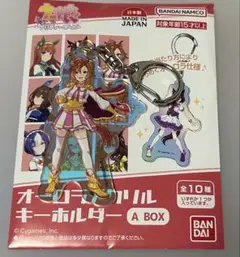 ウマ娘　テイエムオペラオー　オーロラアクリルキーホルダー 1点