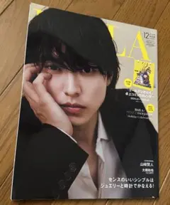 BAILA 雑誌 2024年12月号特別版 山崎賢人