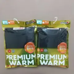 Birthday PREMIUMWARM 120 ファイバーヒート ２枚セット