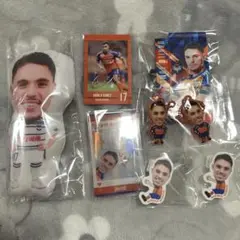 アルビレックス新潟グッズセット