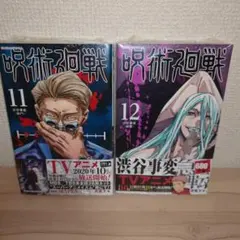 呪術廻戦 全巻セット 0巻 0.5巻付 芥見下々 ジャンプコミックス - メルカリ