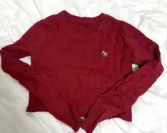 ニット レディース 赤