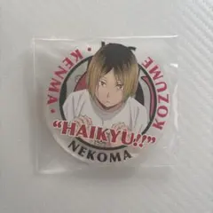 月島蛍　ハイキュー!! アクリルバッジコレクション 2016　合同練習会 2025年最新】ハイキュー アクリルバッジ 2016の人気アイテム