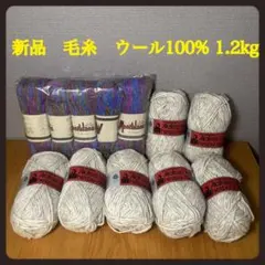 Alafoss他ウール100% 毛糸 1.2kg相当 手芸 ハンドメイド 編み物