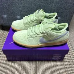 NIKE SB Dunk Low Pro Verdugo Mountain