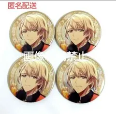 棗巳波 ZOOL 9周年 9th 缶バッジ コレクション ズール アイナナ