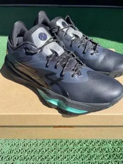 ballaholic バスケットボールシューズ 26 5cm Asics Ballaholic コラボ Glide Nova FF 2 1061A042-300