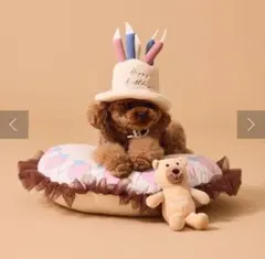 ペット ベッド ケーキ 誕生日 クッション 犬 猫 フォト バースデイ 記念のサムネイル