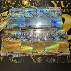 オーガポンセット