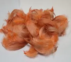 Item thumbnail for item 4513be47-ef06-4346-9d2d-1fef132150d9