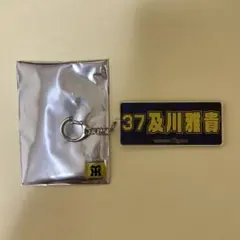 阪神タイガース 及川雅貴 アクリルキーホルダー缶バッジ 2点 - メルカリ