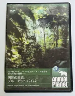 Item thumbnail for item f6f3d9b1-324b-4307-91f5-ee7656567bcd