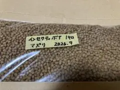 Item thumbnail for item 3e78f3f2-ce7c-4f1f-bd17-64e4fe07c584