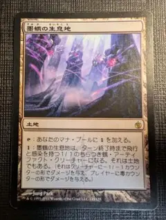 2025年最新】墨蛾の生息地の人気アイテム - メルカリ