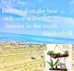 No.390⚜️【専用】流木 インテリア アート 流木ウォールシェルフ ハンガー