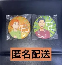 ハイキュー!! 思い出シャイニー缶バッジ　日向翔陽　澤村大地　烏野　ガチャガチャ