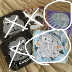 アニマルミニタオル5枚セット