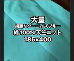 綿天竺ニット生地❤️ターコイズブルー
