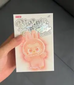 【正規品・未開封】Labubu Big into Energy 1箱