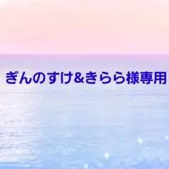 ぎんのすけ&きらら様専用◎Handmade エチケットポーチ❣️◎3点セット