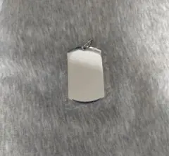 未使用 ステンレス ドッグタグ ペンダント ネックレス