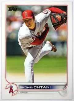 大谷翔平 2022 トップス