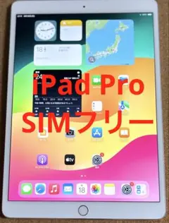 iPad Pro 10.5インチ SIMフリー 64GB