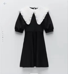 ZARA コントラスト襟付きニットワンピース