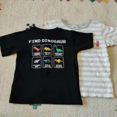 GLOBAL WORK 恐竜Tシャツ サイズ100、BREEZE110