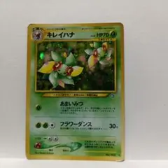 2026年最新】キレイハナ 旧の人気アイテム - メルカリ