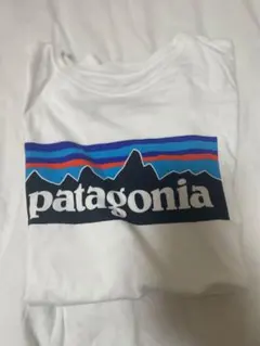 Patagonia Tシャツ ホワイト Mサイズのサムネイル