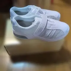 Item thumbnail for item 4c36f3b7-06db-4ac7-ba0b-3188fe1da480