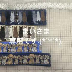 まいさま専用です⸜(*˙꒳˙*)⸝