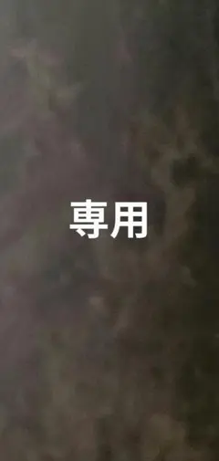 専用