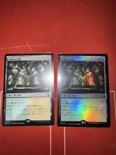 草萌ゆる玄関　2枚
