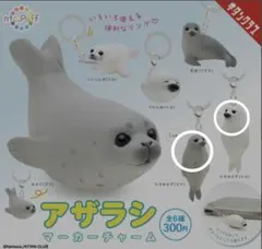 アザラシ マーカーチャーム 2種セット