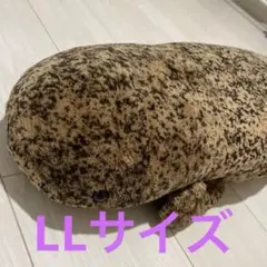 京都水族館　オオサンショウウオ　LLぬいぐるみ　85センチ