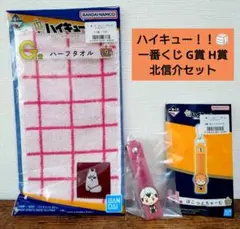 一番くじ ハイキュー!! G賞 H賞 北信介セット